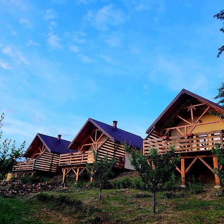 Casa David Βίλα Plai  Εξωτερικό φωτογραφία