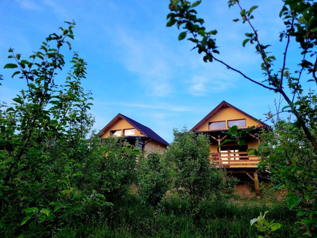 Casa David Βίλα Plai  Εξωτερικό φωτογραφία