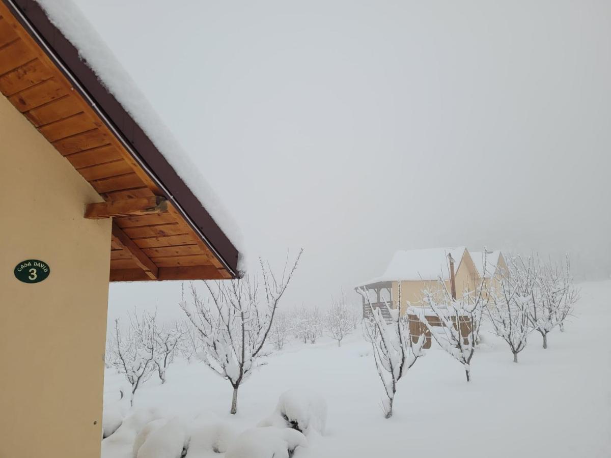 Casa David Βίλα Plai  Εξωτερικό φωτογραφία