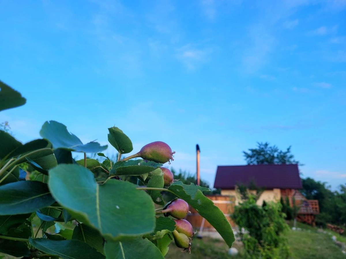 Casa David Βίλα Plai  Εξωτερικό φωτογραφία