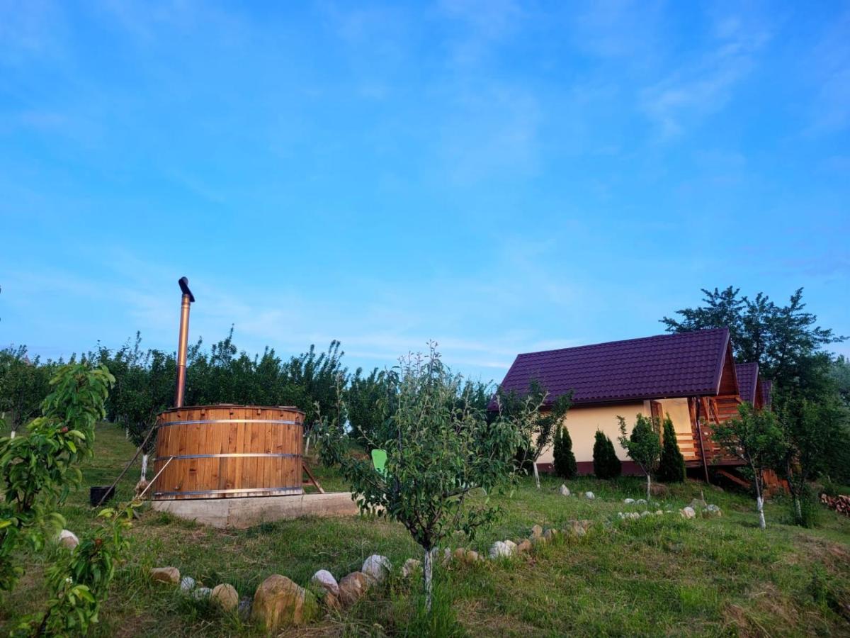 Casa David Βίλα Plai  Εξωτερικό φωτογραφία