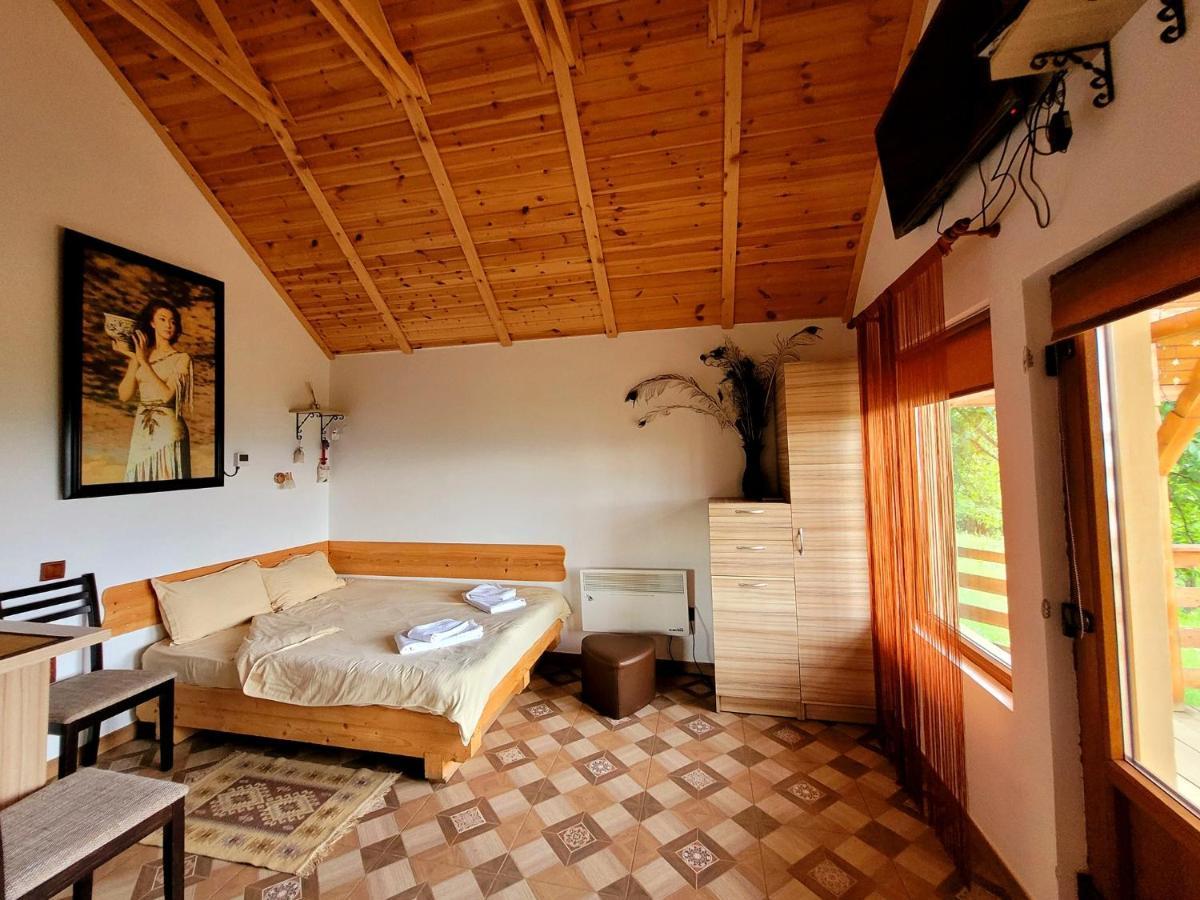 Casa David Βίλα Plai  Εξωτερικό φωτογραφία