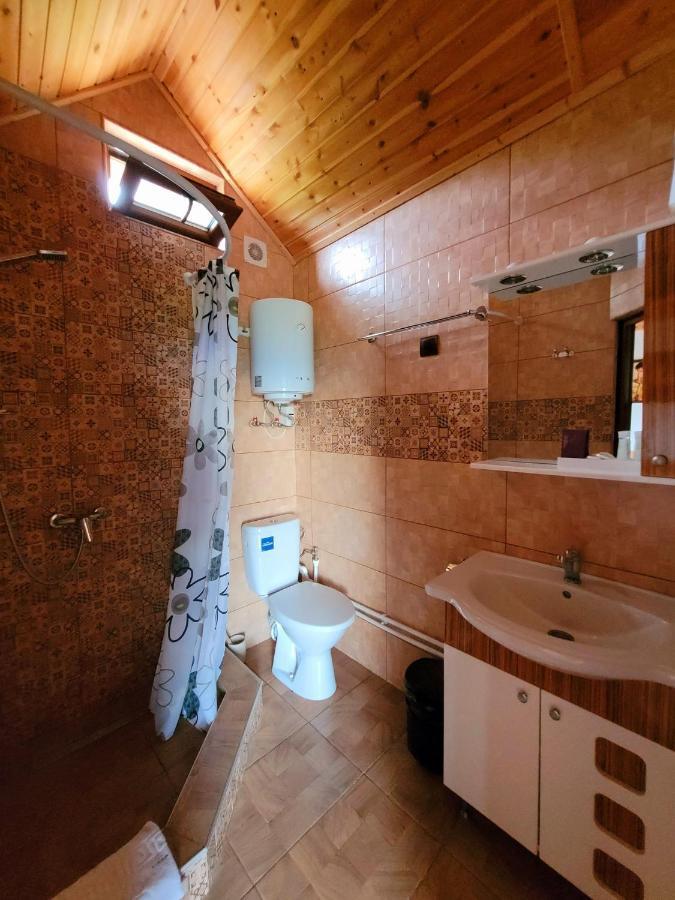 Casa David Βίλα Plai  Εξωτερικό φωτογραφία