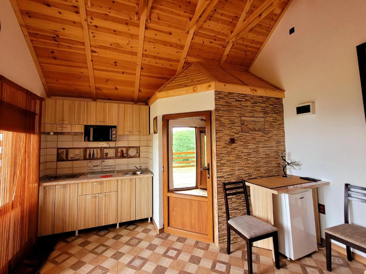 Casa David Βίλα Plai  Εξωτερικό φωτογραφία