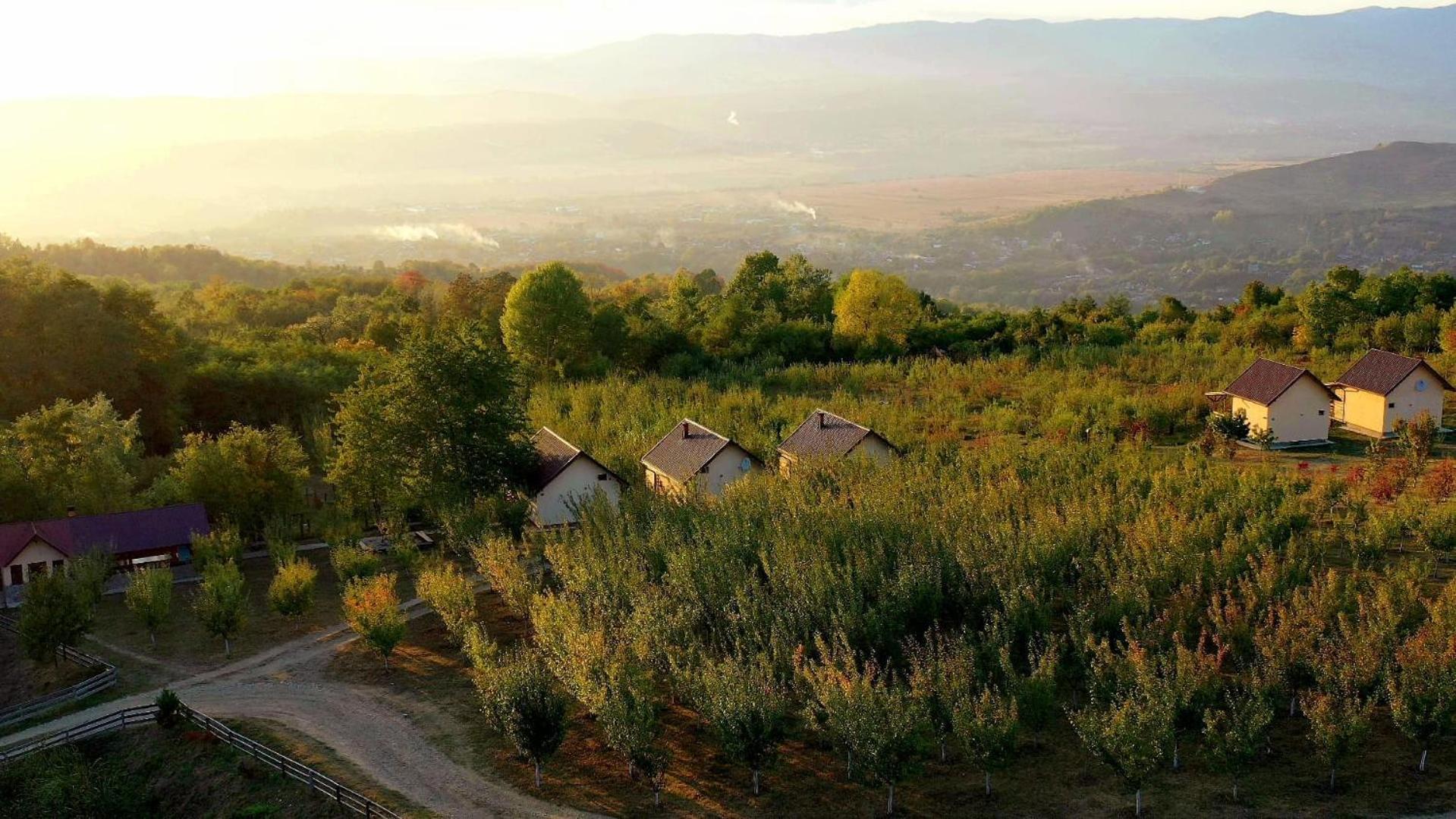 Casa David Βίλα Plai  Εξωτερικό φωτογραφία