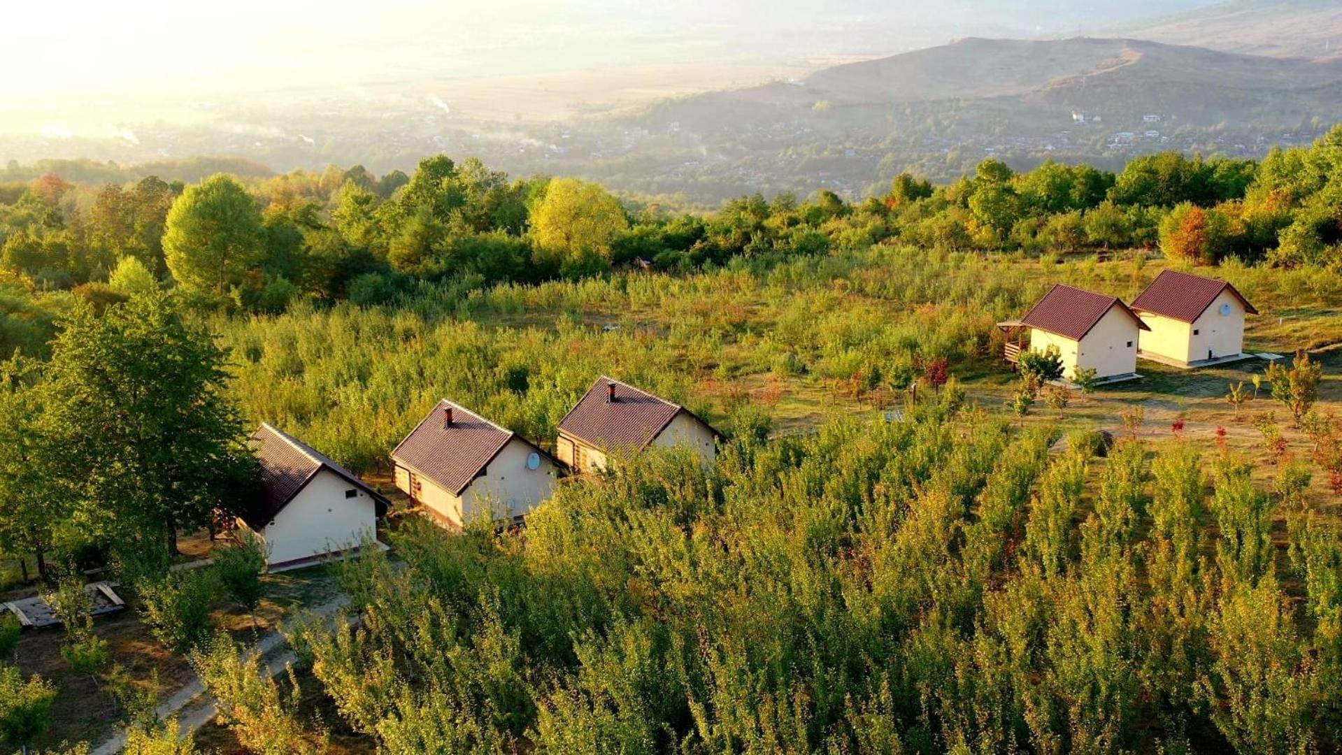 Casa David Βίλα Plai  Εξωτερικό φωτογραφία