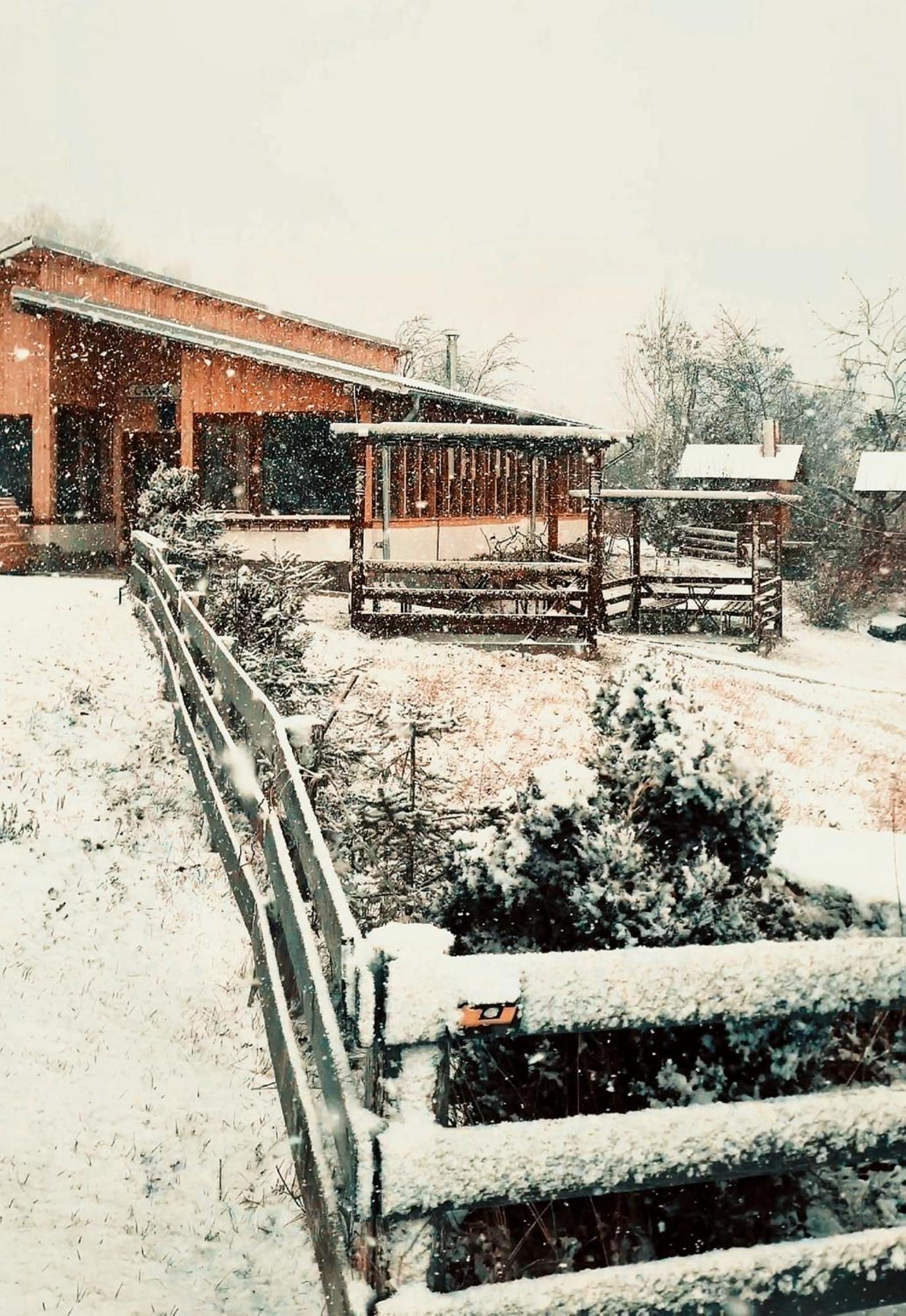 Casa David Βίλα Plai  Εξωτερικό φωτογραφία